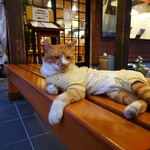 手のべ冷麺専門店 六盛 - 