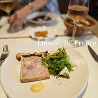 Loiseau de France - 