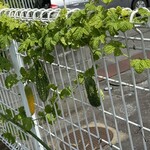 インデアンレストラン  ニューミラ - 