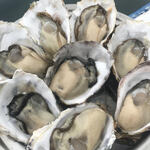かきいち - 料理写真:生カキ
