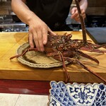 名前のないお店 - 