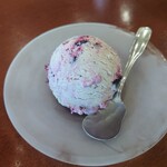 シェーンガルテンおみ - 