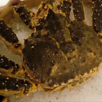 かにじぇんぬ 北のはなれ - 活けたらば蟹