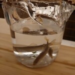 日本料理 久丹 - 