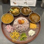 Curry Spice Gelateria KALPASI - 