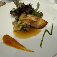 Loiseau de France -  Loiseau de France -