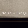 BELLE et SINGE