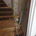 ニチ ニチ ベイク - 