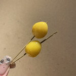 厳選焼鳥 一石三鳥 - 