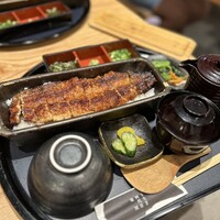 うなぎ四代目菊川 ミッドランドスクエア 名古屋本店 - 