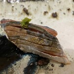 鮨 生成り - イワシ