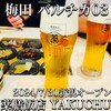 薬膳飯店 YAKUCHU