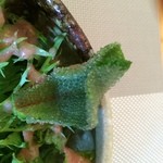 四季彩鉄板くさの - 3月