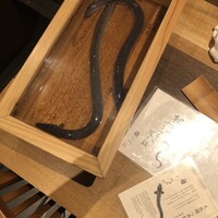 にょろ助 銀座 - まずはこんにちは