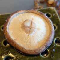 潜龍 - 