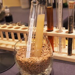 プレゼンテ スギ - ノンアルコールペアリング