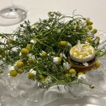 エルミタージュ ドゥ タムラ - アミューズ (カモミール)