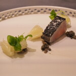 プレゼンテ スギ - 探求と探検