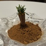 エルミタージュ ドゥ タムラ - アミューズ (人参のコルネ)