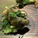 エルミタージュ ドゥ タムラ - あさつきとカボスのソース