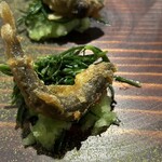 エルミタージュ ドゥ タムラ - プレーン