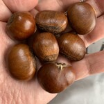 甘栗工房 - 甘栗のデカさったら…ねぇ