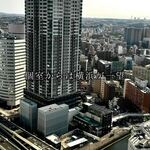 横浜 星のなる木 - 