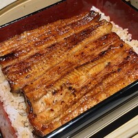 うなぎ 目白ぞろ芽 - 