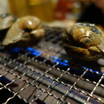 かに地獄 新橋 - ハマグリ