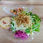 Cafe むじか - 前菜のサラダ。バラエティに富んで美味でした。上からシャケと玉ねぎのサラダ。ゴボウの千切りの素揚げ、紫蘇でしめたキャベツとニガゴリなどなど全てを混ぜて食べるととても美味しかった。左はバケット。