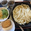 手打十段 うどんバカ一代