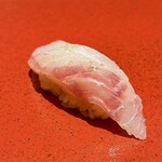 博多 鮨 まつもと - キジハタ