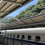 ロイヤルモーリヤ - 