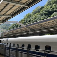 ロイヤルモーリヤ - 