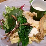 レストラトゥール - 前菜　ゲンゲのバーニャカウダ