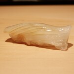 鮨 一幸 - 『あおりいか』