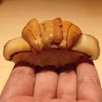 鮨 一幸 - 『ウニ鮑』