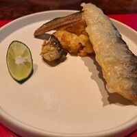 賛否両論 - 
