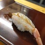 蒲兎鮨 - 生えび