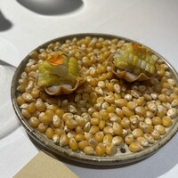 デルフィーナ - 