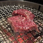 ホドリグランディ - 