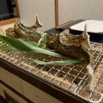 おちあいろう - 