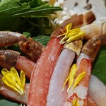 北新地 かに松 - 