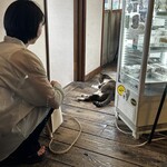 ウミネコ商店 - 