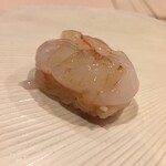 鮨 十兵衛 - ぼたん海老