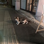 tuuli - ネコがいました！