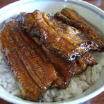 うなぎのまつ嘉 - うな丼（２切れ）＠１，８００円