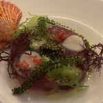 アルテリーベ - 