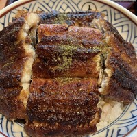 炭焼うな富士 大丸京都別邸 - 