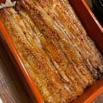 かく本うなぎ - 